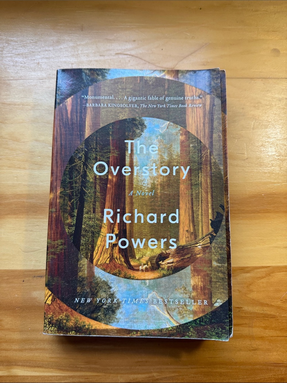 🦋2/$10  The Overstory
